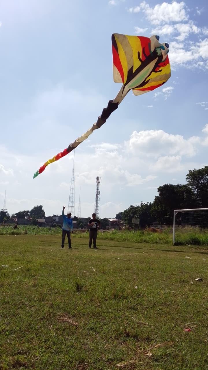 Activity 9